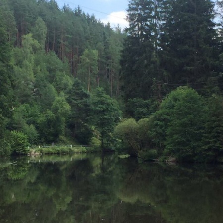 Größeres Bild ansehen